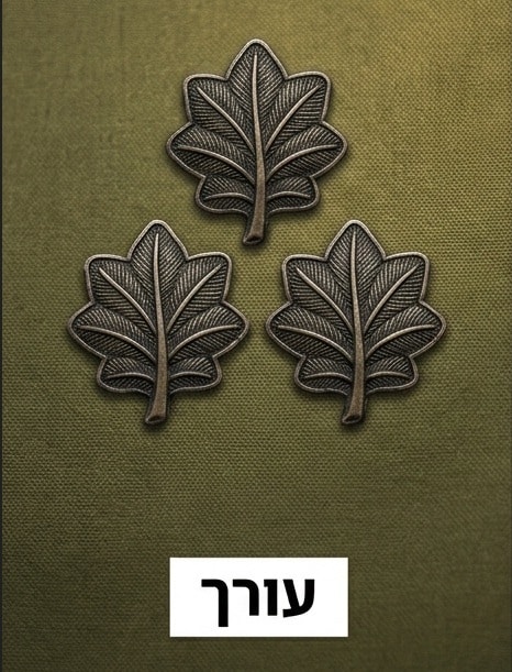 אבל לי משהו