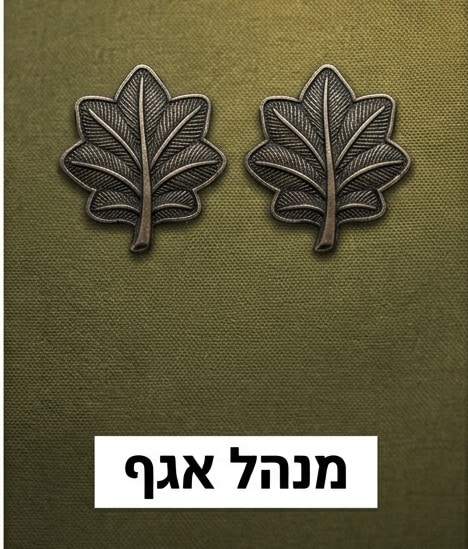 -אגף